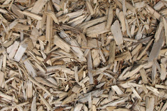 biomass boilers Nutcombe