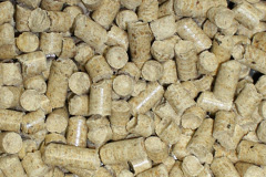 Nutcombe biomass boiler costs