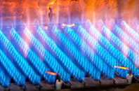 Nutcombe gas fired boilers